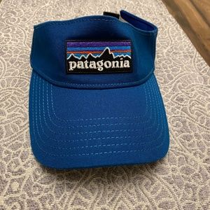 Patagonia Visor